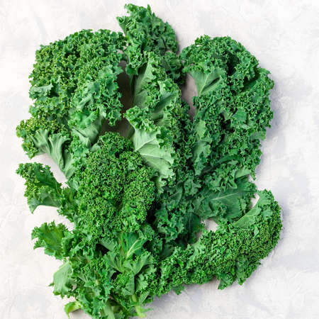 Curly kale leaves on a gray background, square formatの写真素材