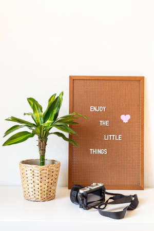 Scandinavian style home interior with white shelves, green palm in pot, candle, and pegboard with the inspiring phrase, minimalistic concept, horizontal, copy spaceの写真素材