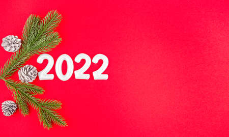 New year composition with pine branches, pine cones and number 2022の写真素材