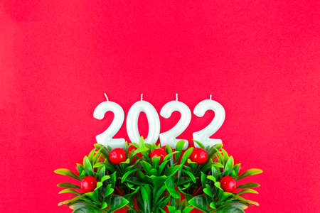 New year composition with artificial holly branches and candle number 2022 on red backgroundの写真素材