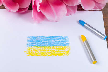 Flag of Ukraine painted on white paper with wax crayons, pink tulips on backgroundの写真素材