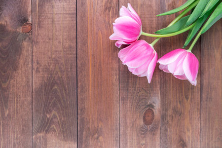Bouquet of beautiful pink white tulips on dark brown wooden background, horizontal, copy space, topの写真素材
