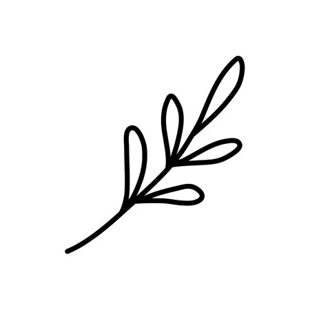Sprig or branch, ecology or natural element, doodle style flat vector outline for kids coloring bookのイラスト素材