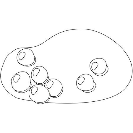 Set of snowballs, winter holidays design template element, flat vector outline for coloring bookのイラスト素材