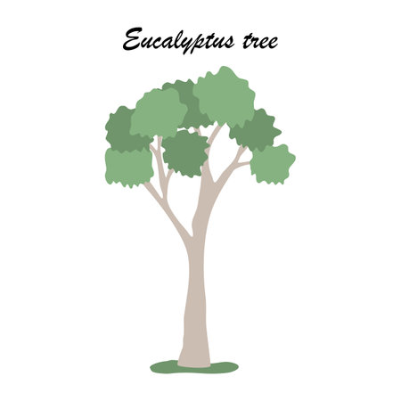 One Eucalyptus tree icon, flat style vectorのイラスト素材