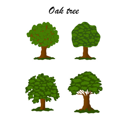 Oak tree icon set, flat style vectorのイラスト素材