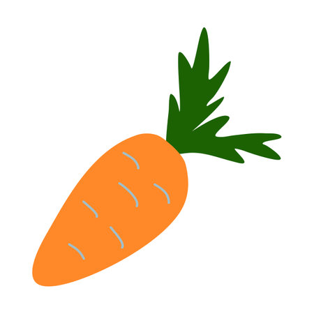 Fresh crunchy carrot with leaves, doodle style vectorのイラスト素材