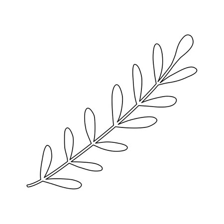 Sprig or branch, ecology or natural element, doodle style flat vector outline for kids coloring bookのイラスト素材