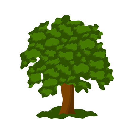 Oak tree with lush crown, flat style vectorのイラスト素材