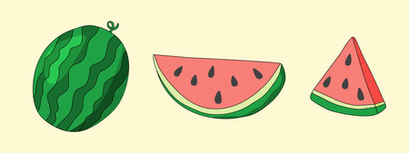 Set with fresh ripe watermelon and slices, doodle style vectorのイラスト素材