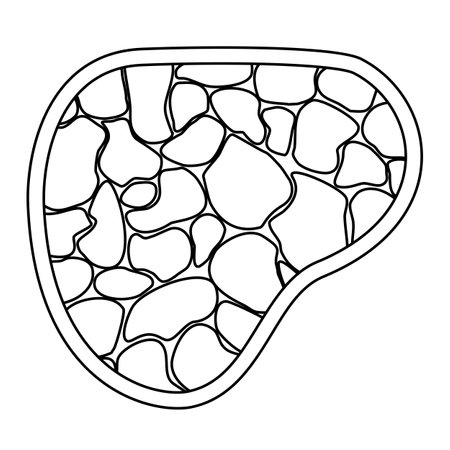 Swimming pool water background with reflection of sun, doodle style vector outline for coloring bookのイラスト素材