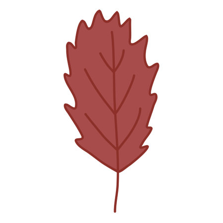 Simple serrated leaf, doodle style flat vectorのイラスト素材