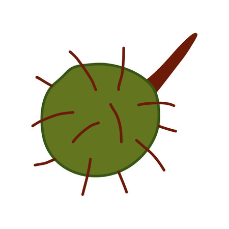 Chestnut in peel, autumn design element, doodle style vectorのイラスト素材