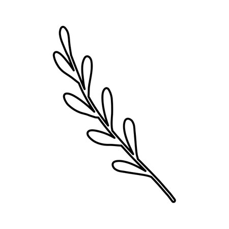 Sprig or branch with leaves, ecology or natural element, doodle vector outlineのイラスト素材