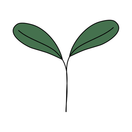 Fresh young plant sprout, spring design element, vector