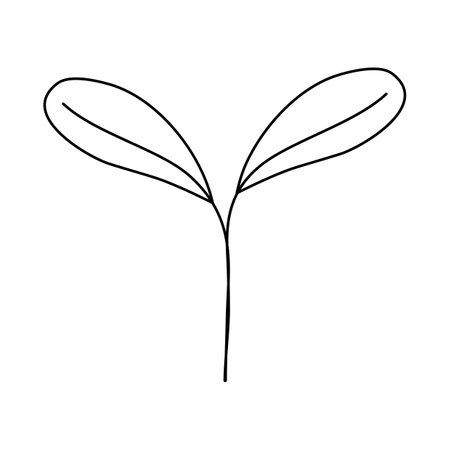 Fresh young plant sprout, doodle style flat vector outline for coloring bookのイラスト素材