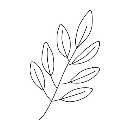 Sprig with leaves, doodle style flat vector outline for coloring bookのイラスト素材
