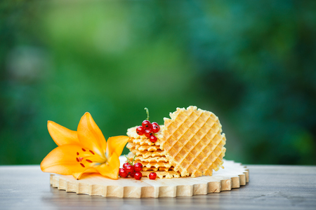 Belgian waffles with fresh berries on cutting board on background of green bokeh. grapefruit juice. pink cocktail with a straw.の写真素材