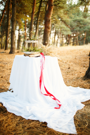 Wedding table in the pine forest with plates, red ribbon, cones, spikelets. Decor.の写真素材