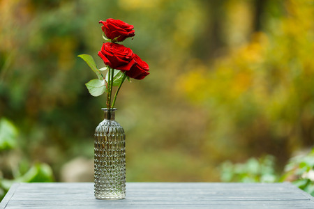 Beautiful red rose in a glass vaseの写真素材