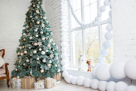 New Years decorations and giftsの写真素材