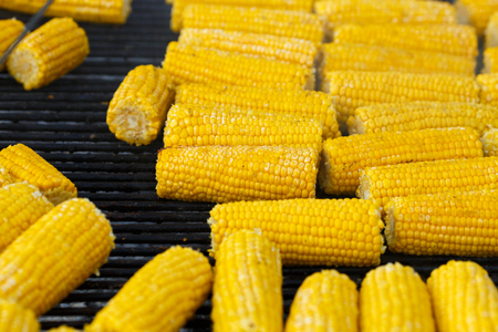 Cooking corn on the grillの写真素材