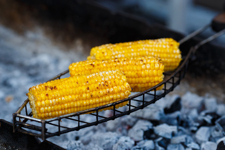 Cooking corn on the grillの写真素材