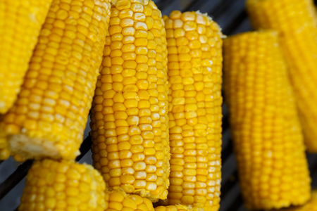 Cooking corn on the grillの写真素材