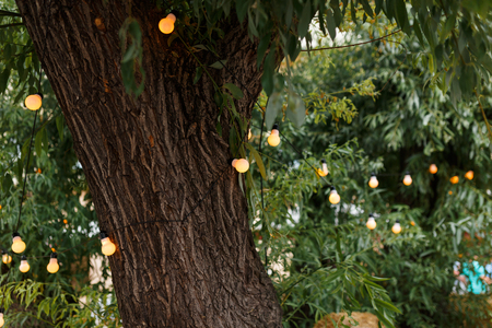 string wired with warming Light Bulbs hanging in the area of wedding events celebration in the nightの写真素材