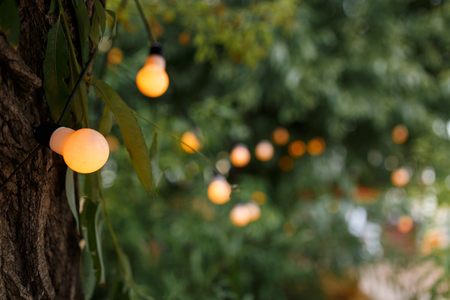string wired with warming Light Bulbs hanging in the area of wedding events celebration in the nightの写真素材