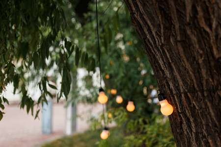 string wired with warming Light Bulbs hanging in the area of wedding events celebration in the nightの写真素材