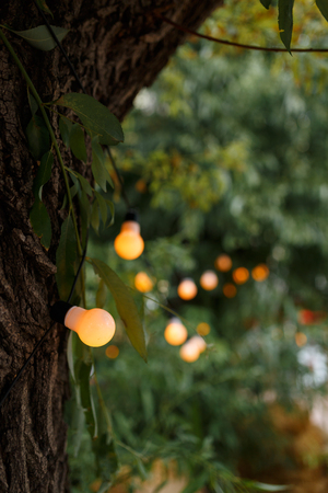 warm light bulbs at the evening eventの写真素材