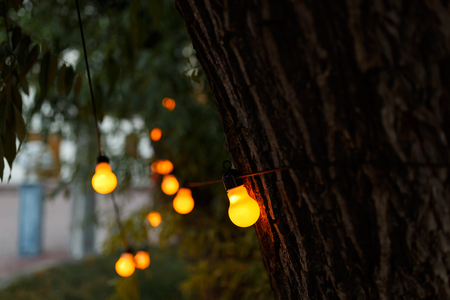 string wired with warming Light Bulbs hanging in the area of wedding events celebration in the nightの写真素材