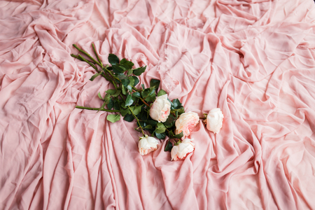 pink roses lie on delicate pink silk fabricの写真素材