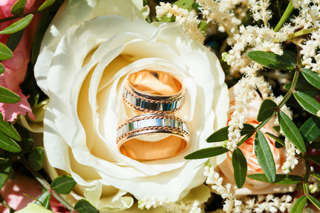 wedding golden rings in bud of white roseの写真素材