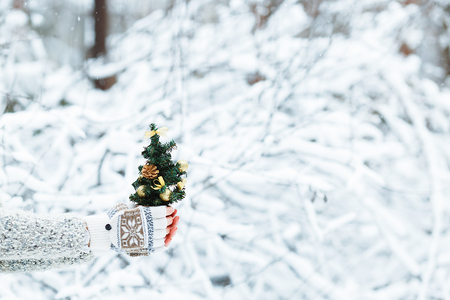 Beautiful happy girl with a little Christmas tree decorated in her hands walks in a snowy forest, wearing a gray sweater, hat and scarf.の写真素材