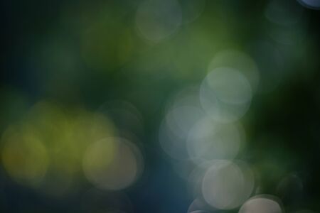Defocused abstract green leaves bokeh background. Bokeh lights.の写真素材