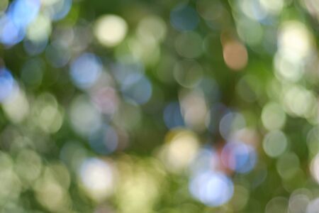 Defocused abstract green leaves bokeh background. Bokeh lights.の写真素材