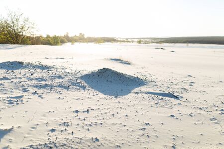 White sand in the desert with bright sun. Sand desert surface.の写真素材