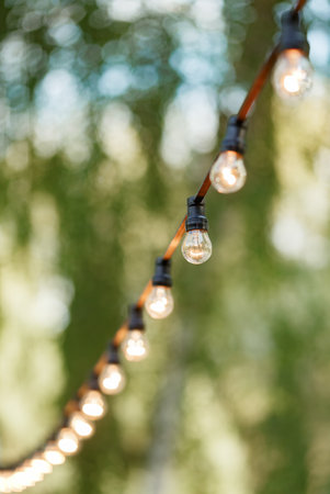 warm light bulbs at the evening eventの写真素材