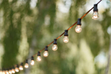 warm light bulbs at the evening eventの写真素材