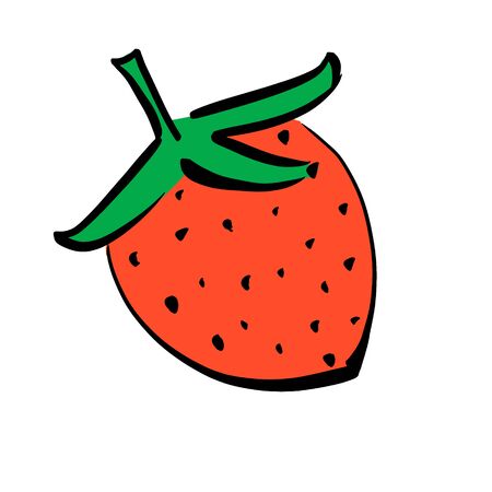 Drawn red strawberries with a black outline. illustration of a healthy berry sketch-fresh raw strawberries for print, Internet, mobile devices and infographics, isolated on a white background.のイラスト素材