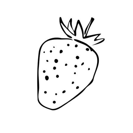Vector illustration of colored strawberries on a white isolated background.  Black and white outline.のイラスト素材