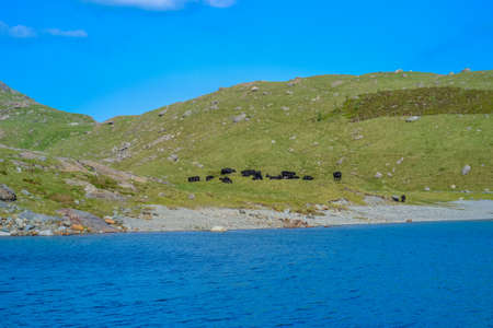 Snowdonia National Park, Epic views of mountains and valleys with blue lakes and crystal clear waterの写真素材
