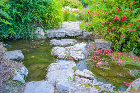 View of the pond with a stone pathの写真素材
