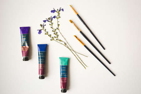 UK/Hove 11/03/2019 - Acrylics paints and three Boldmere brushes, and dry flowers. view from aboveのeditorial素材