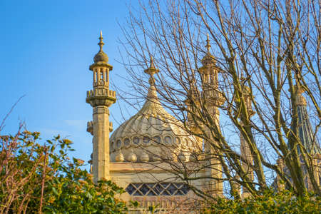 UK, Brighton, 01.02.2020: The Royal Pavilion in Brightonのeditorial素材