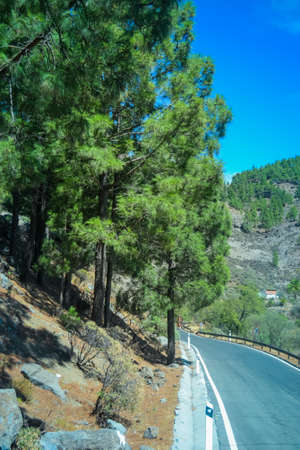 Mountains of the island of Gran Canaria, originally - this is a volcano and the landscape was formed as a result of its activityの写真素材