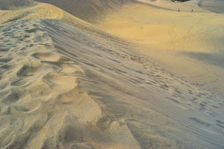 The Maspalomas Dunes are sand dunes located on the south coast of the island of Gran Canariaの写真素材