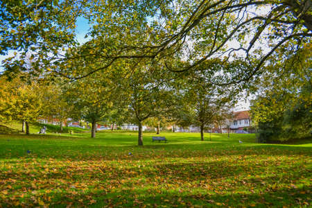 Autumn in the city park with yellow leaves and trees in the foregroundの写真素材
